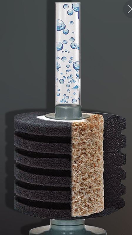 BIO REACTOR  XS