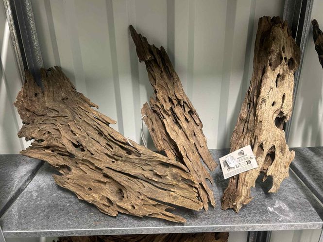 Huvudbild HONEYCOMB WOOD M