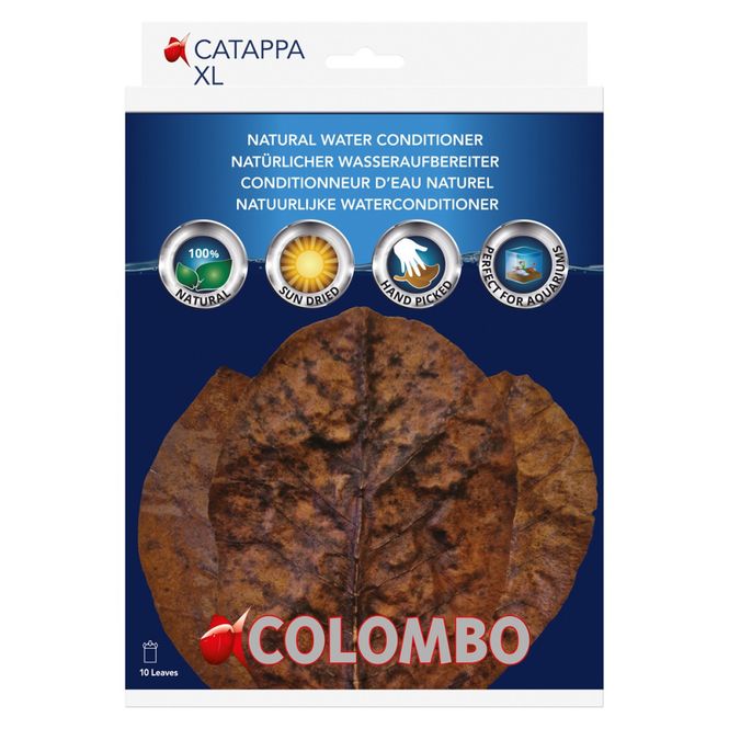 Huvudbild COLOMBO CATAPPA 10X