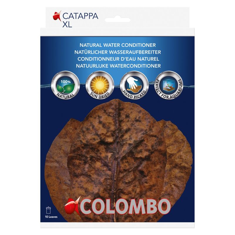 COLOMBO CATAPPA 10X
