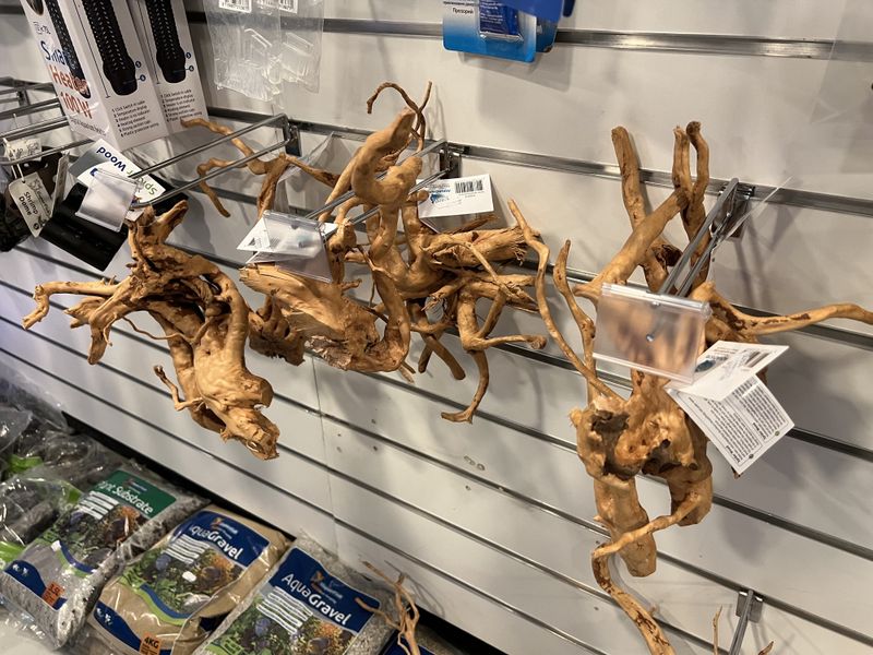 SPIDER WOOD S