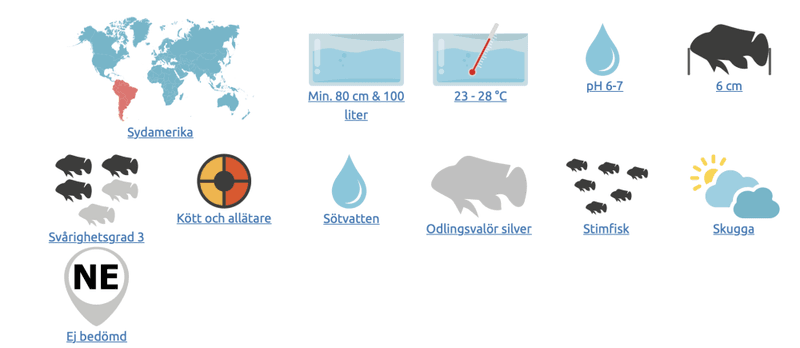  Diamanttetra 2,5-3cm Moenkhausia pittieri