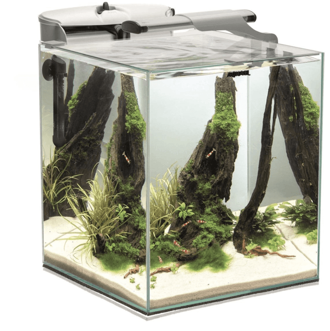 Huvudbild Akvarium Set Nano Duo