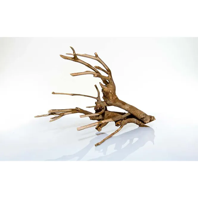 Huvudbild Talawa Wood 30-45cm